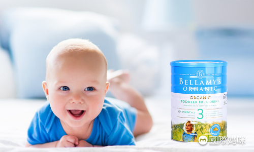 哪些婴儿奶粉备受关注些，全球优质婴儿奶粉排行榜汇总
